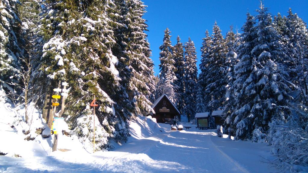 Pension Ploc Harrachov Dış mekan fotoğraf